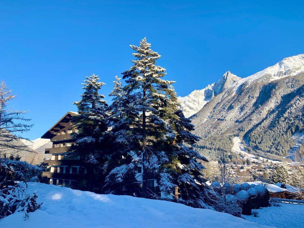 Appartement Confort Au Brévent-chamonix Chamonix